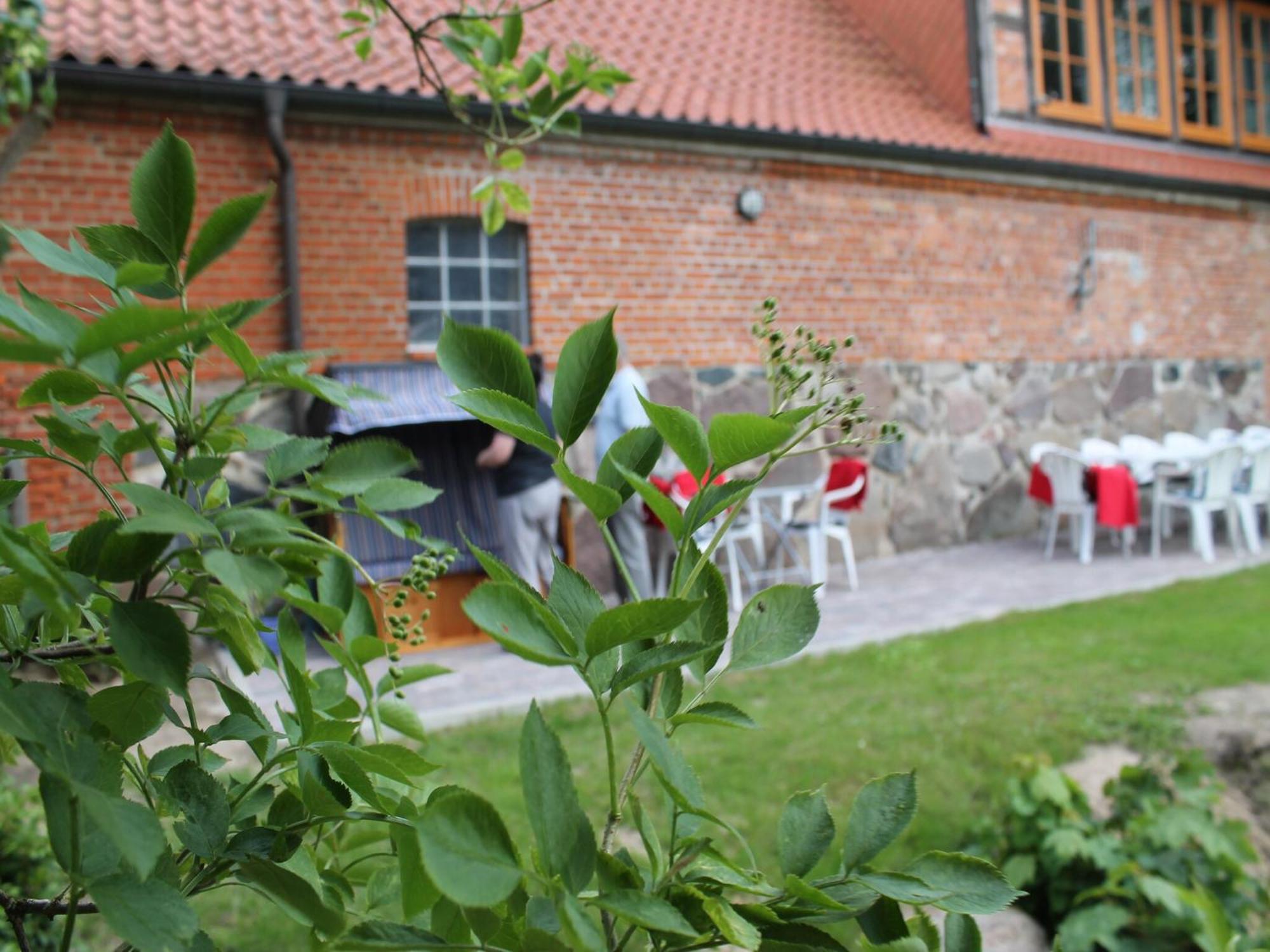 Villa Mansion In Gressow With Terrace Garden Bbq Pond Bicycles Extérieur photo